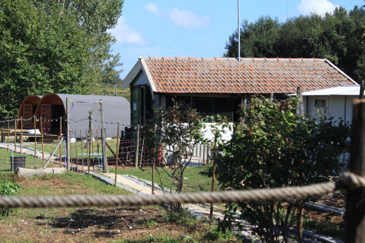 Отель Casa Da Avo Miquinhas Пасуш-ди-Феррейра Экстерьер фото